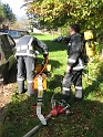 bild (11)
